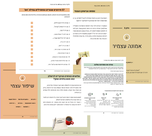 תהליך היישום